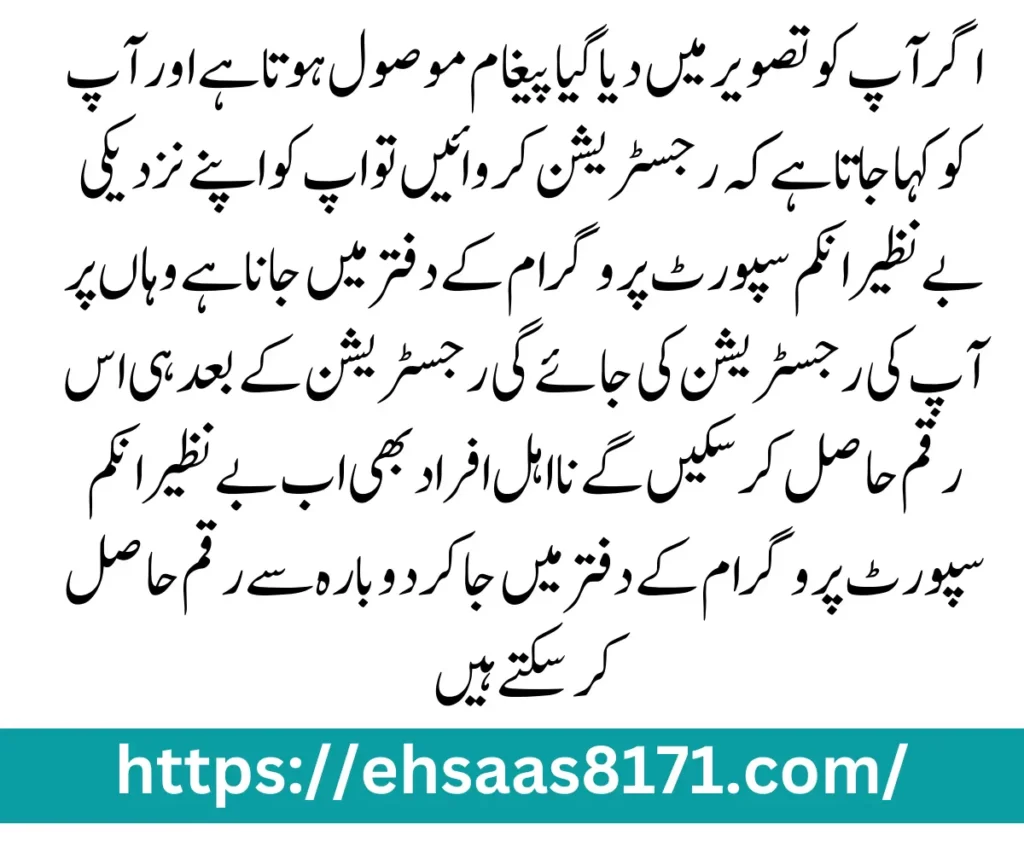 Ehsaas Program Registration - New Online Registration Method