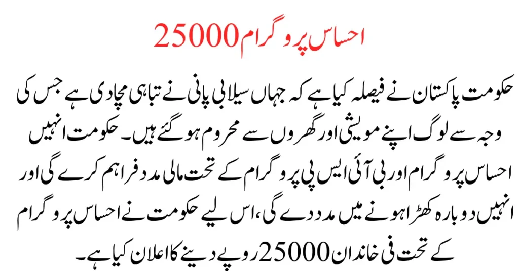 Ehsaas Program CNIC Check 25000 Online Registration 2023