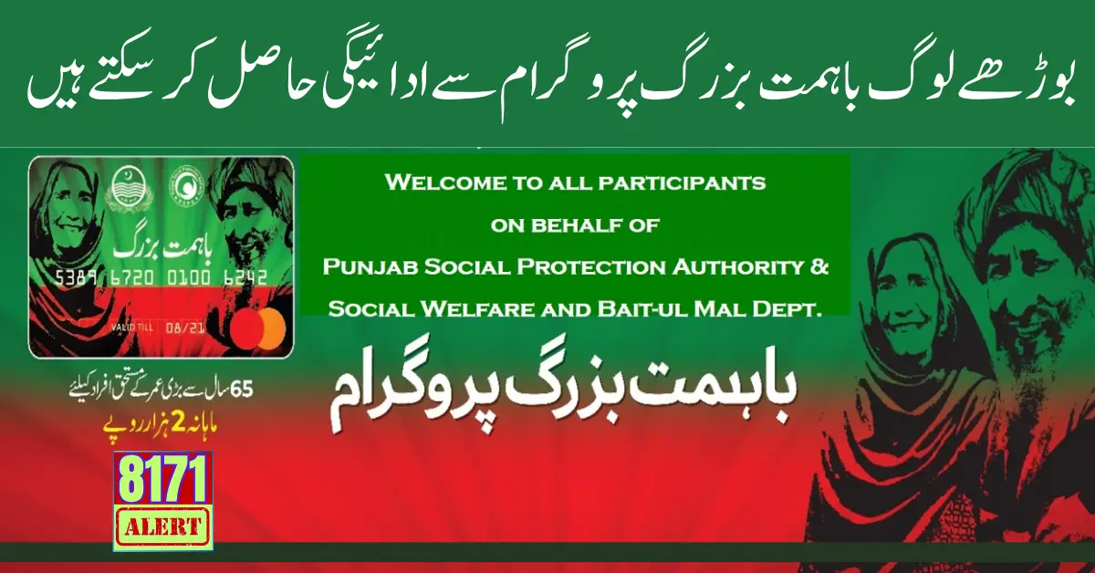 Old Age People Can Get Payment From Bahimmit Buzurg Program 2024