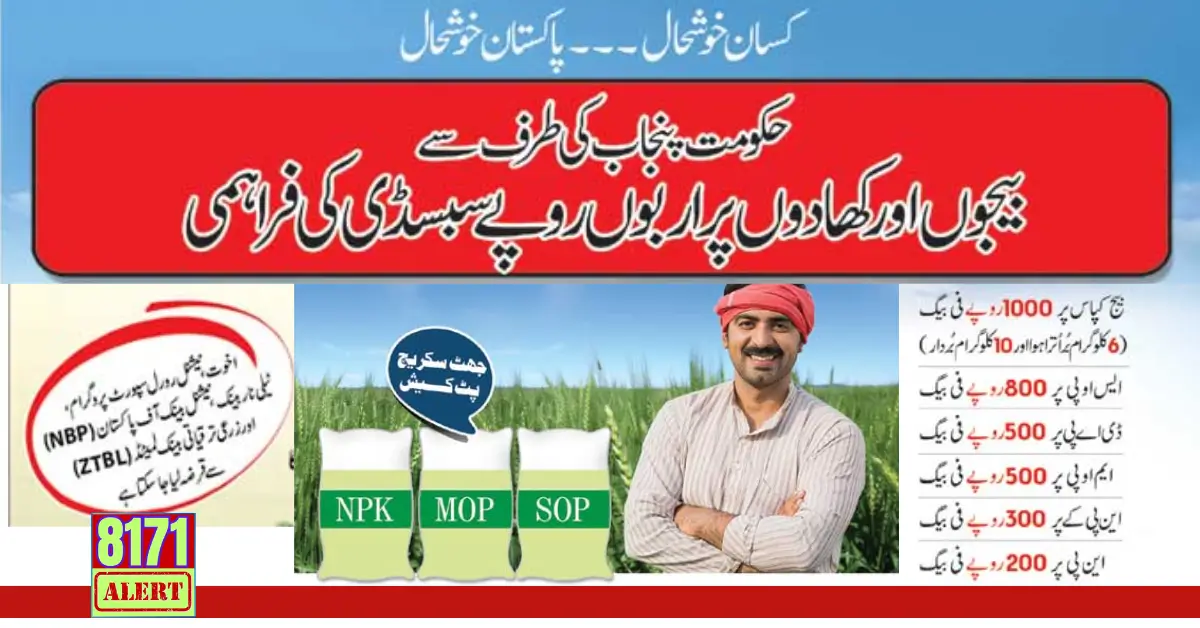 Subsidy On Cotton Seeds By Government Of Punjab Start From 8 August 2024