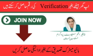بائیومیٹرک تصدیق کے بغیر ادائیگی حاصل کریں