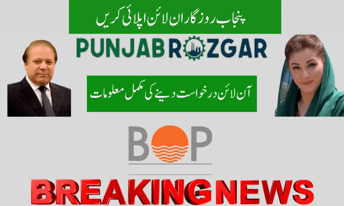 پنجاب روزگار ان لائن اپلائی کریں