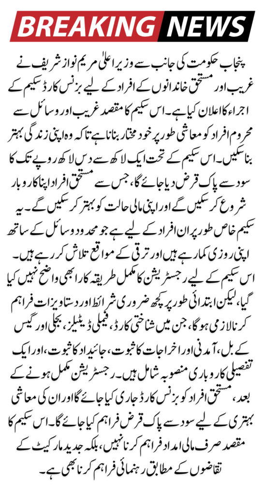 Decision to introduce Business Card Scheme to promote small businesses in Punjab