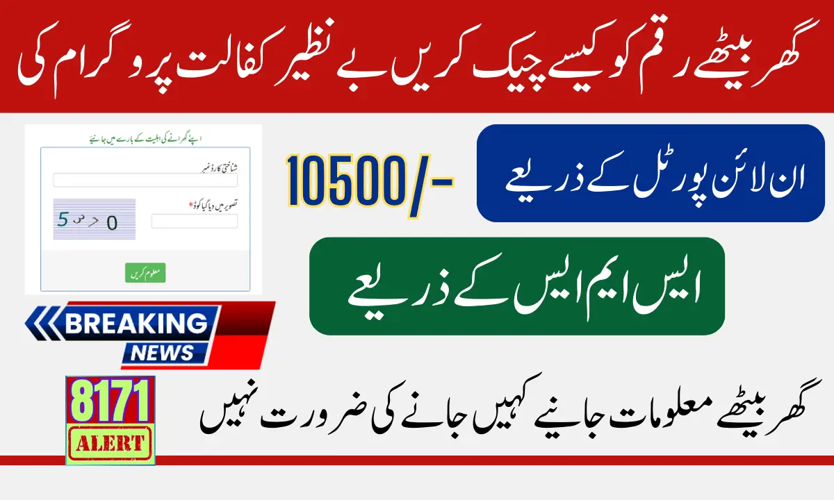 8171 Web Portal 13500 Payment Status How To Check Online And Offline
