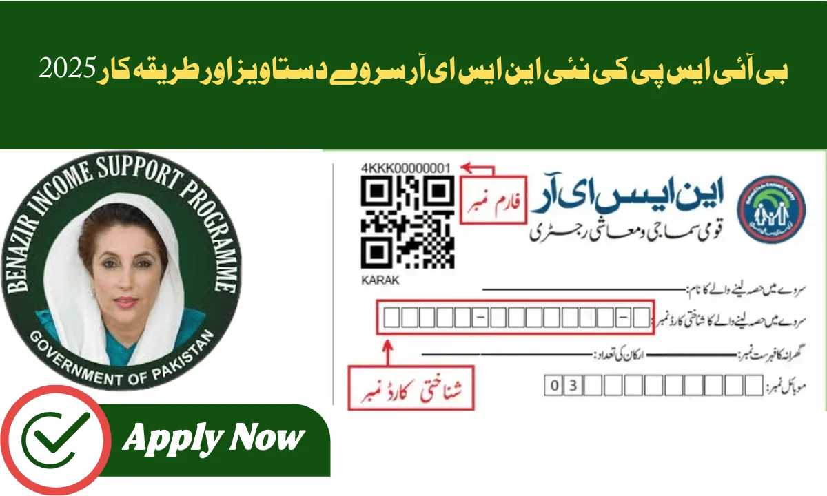 بی آئی ایس پی کی نئی این ایس ای آر سروے دستاویز اور طریقہ کار 2025