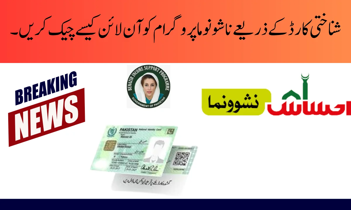 شناختی کارڈ کے ذریعے ناشونوما پروگرام کو آن لائن کیسے چیک کریں۔