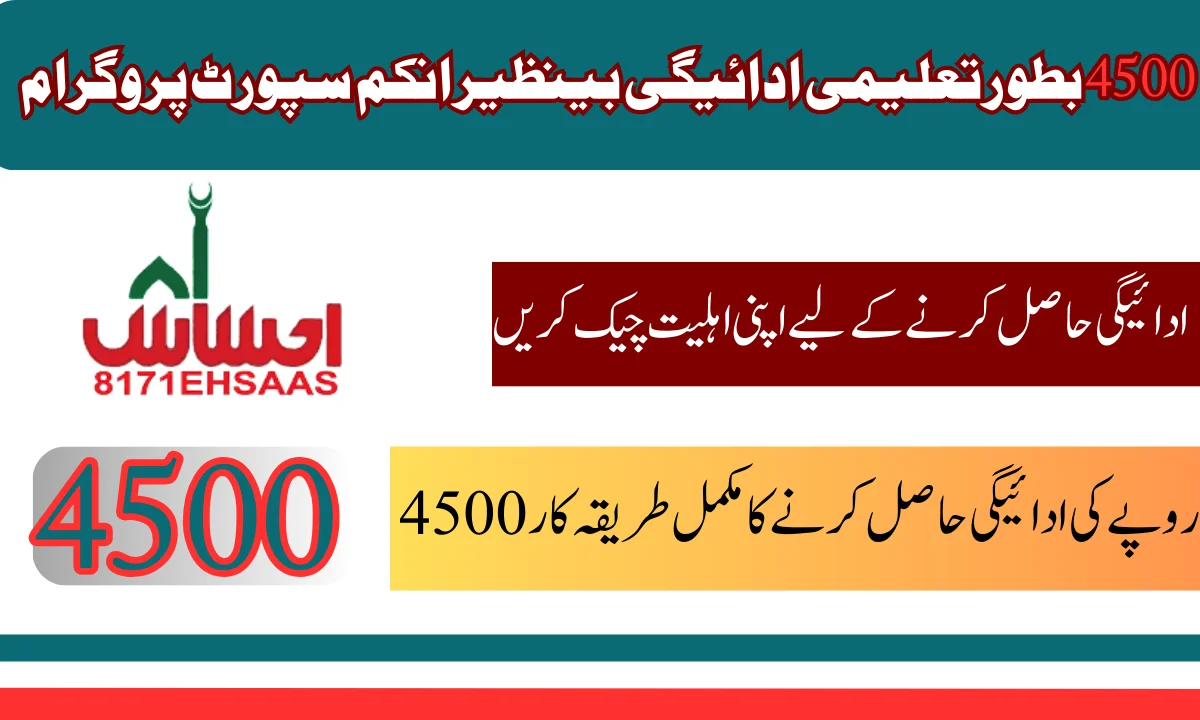Benazir Educational Program
