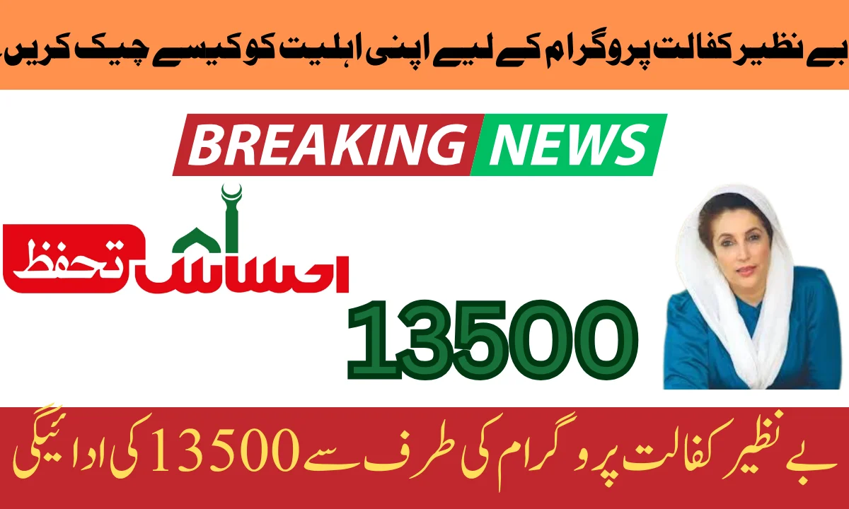 Checking BISP Program Eligibility