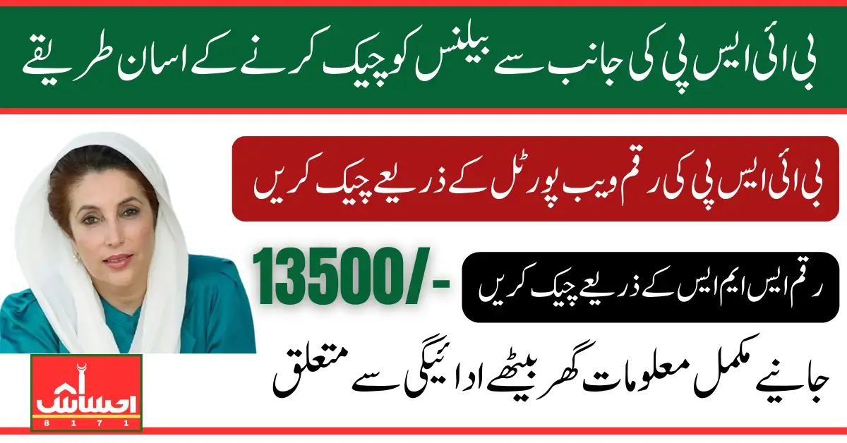 BISP 8171 Online Check Balance 13500 Using CNIC via Web Portal and SMS