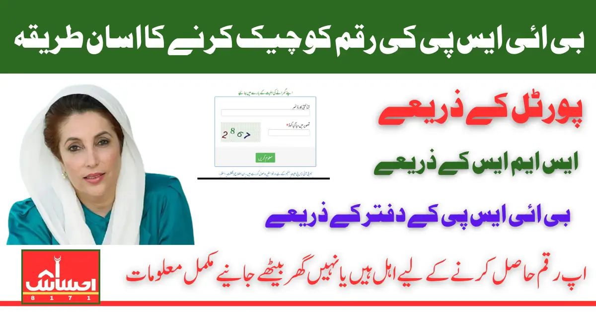 BISP Balance Check Online 13500 March 2025 Payment With 3 Easy Method Latest Update