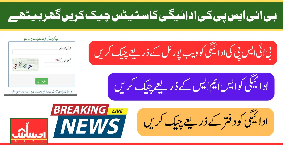 BISP Payment 13500 Check Status Through 8171 Web Portal And SMS Latest Update