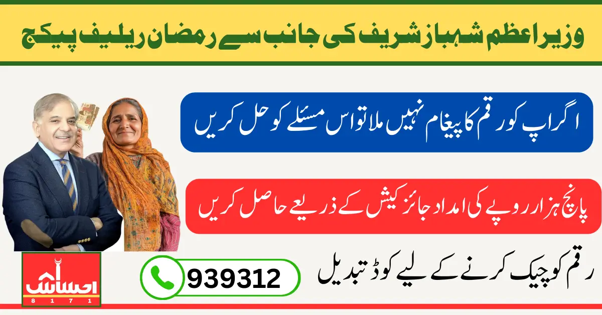 PM Punjab Ramzan Package 2025 Registration and Payment Message Not Receiving Issue