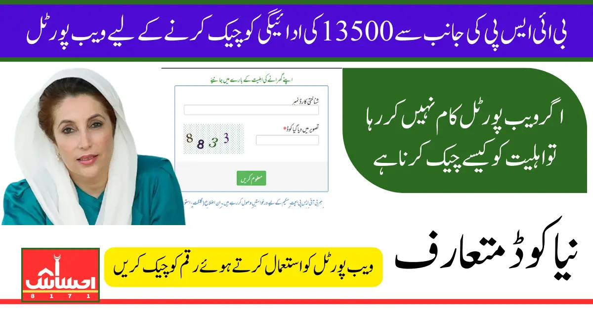 8171 Web Portals For Check Recent Release 13500 Payment In April 2025 By Using CNIC