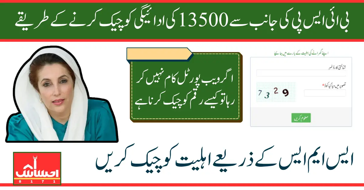 BISP 13500 April 2025 Payment Details 8171 Check Online Using Official Web Portal