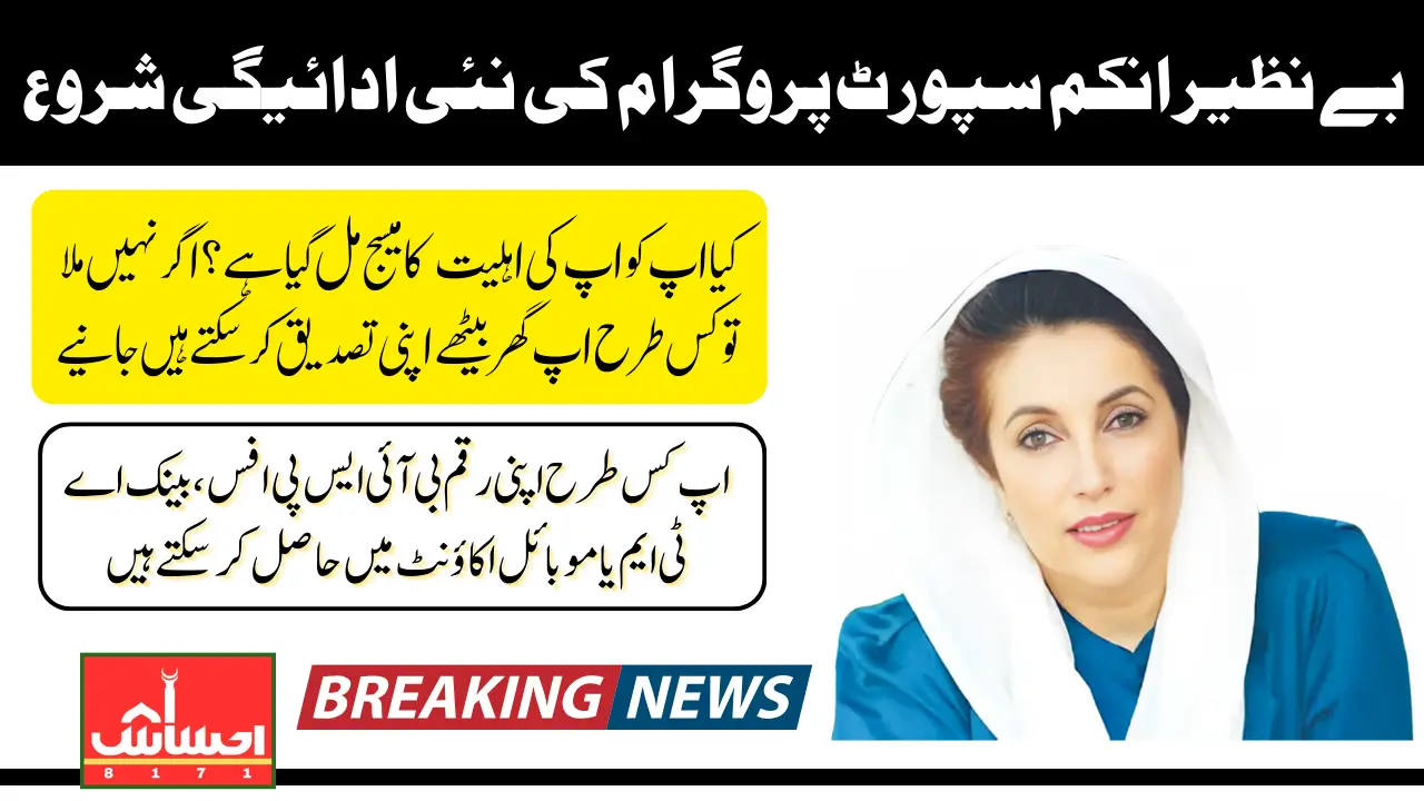 BISP Jan-April Payments Start For Women Who Got 8171 Confirmation Message