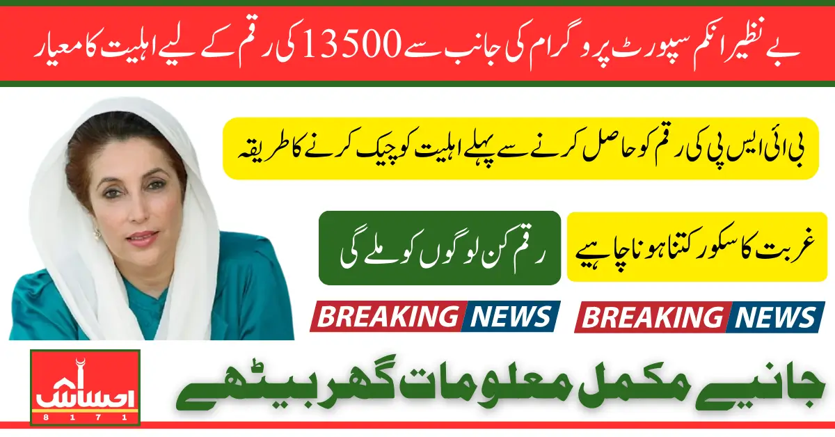 Benazir Income Support Payment Eligibility April Confirmation Details 2025