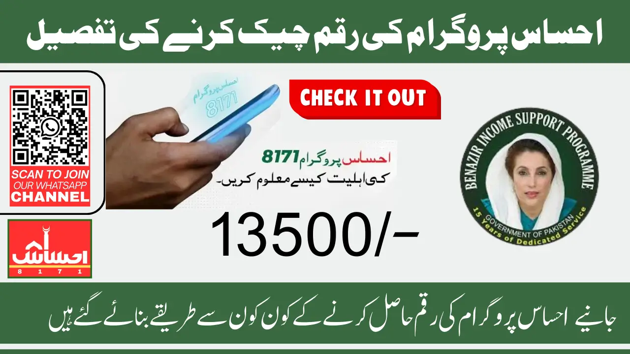 Check 8171 Ehsaas Program 2025 Online With CNIC Easy Step-By-Step Guide