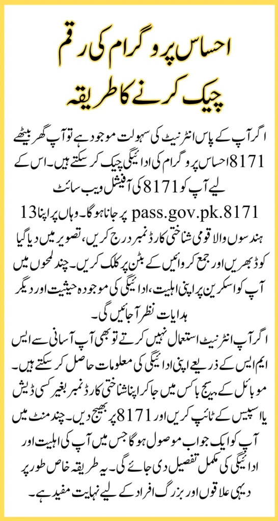 Check 8171 Ehsaas Program 2025 Online With CNIC Easy Step-By-Step Guide