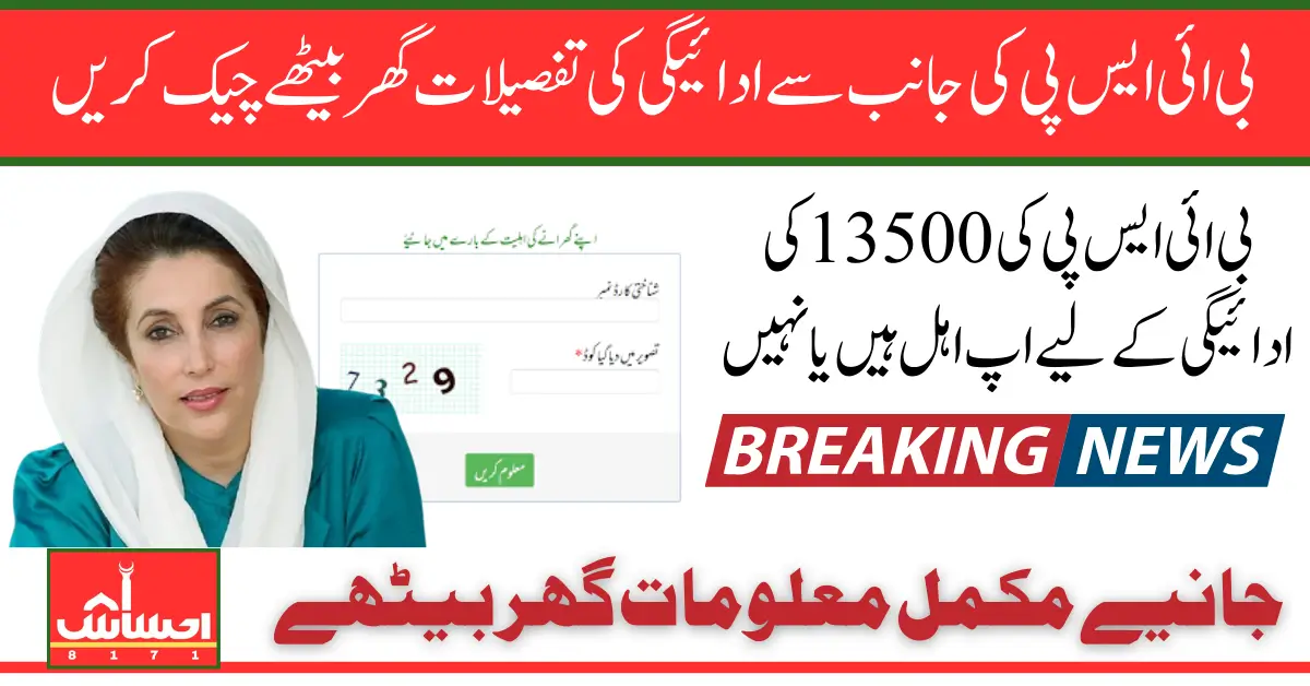 Check BISP Payment Online 13500 Via CNIC What Should You Do After Check Eligibility Status