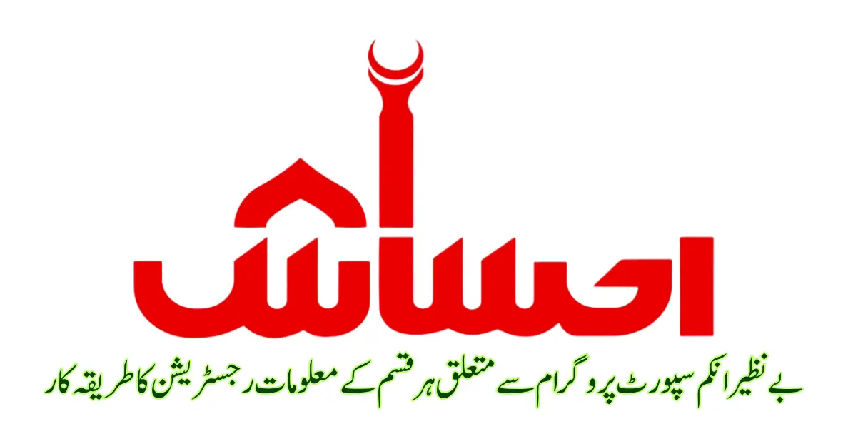 logo of 8171alerts.pk