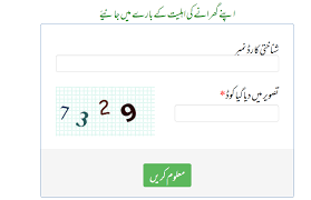 8171 Portal 2025 Check BISP 13500 Payment Online Through CNIC 