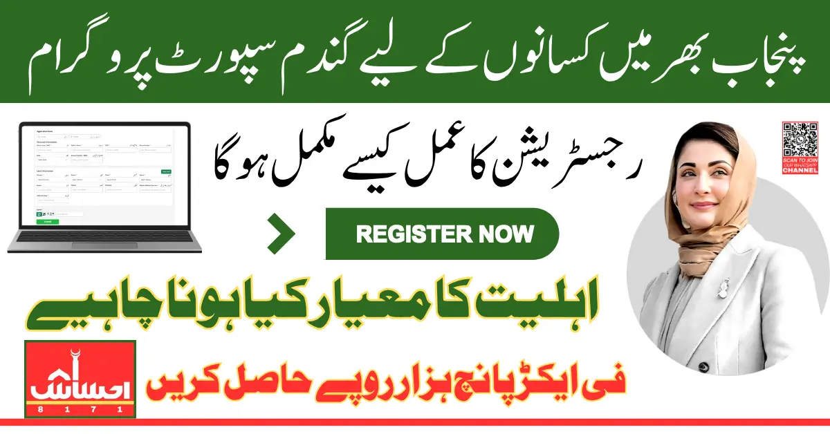 Punjab Farmers Wheat Subsidy For Farmers 5000 Per Acre To Compensate For Loss