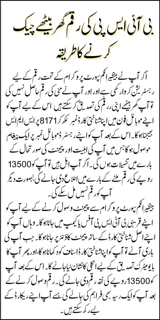 BISP 2025 Payment Offline Check Using CNIC 8171 SMS And Tehsil Office Latest Update