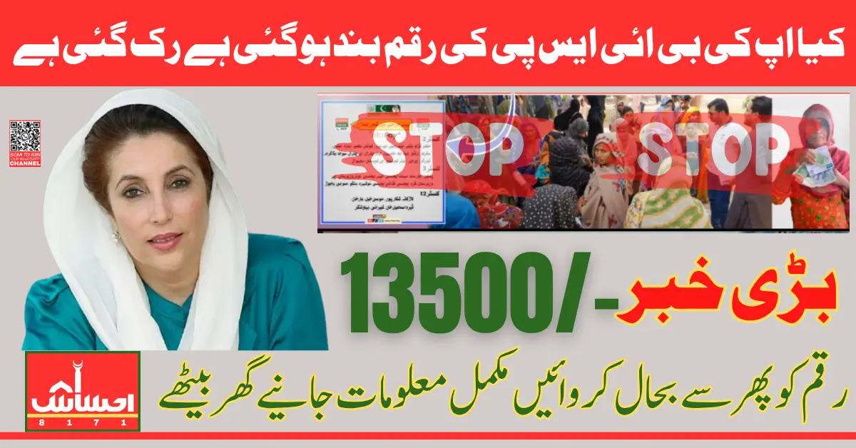 BISP 8171 Payment Blocked in 2025 Easy Guide To Fix and Receive Your 13500