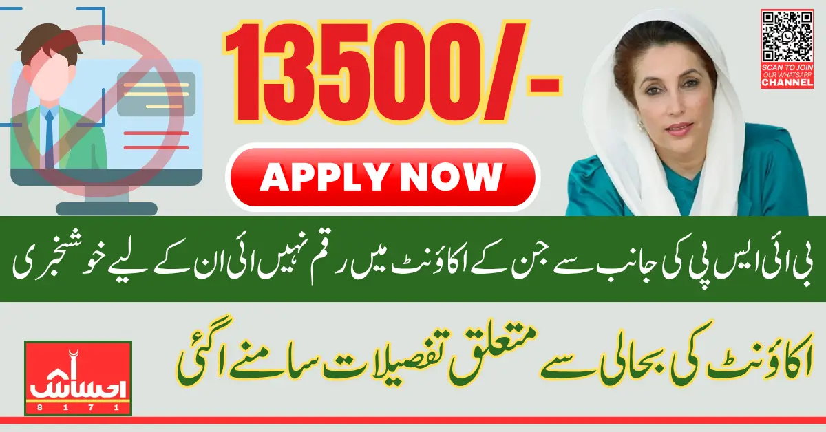 BISP 8171 Payment Suspended Check Status And Know Details How Reactivate 13500