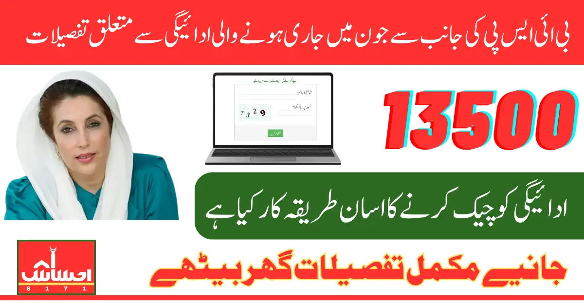 BISP June 2025 Payment Verify 13500 Through CNIC on 8171 Web Portal