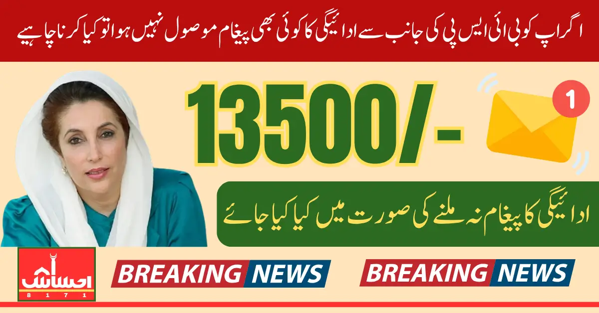 BISP Payment Message Not Received Check Eligibility Status Using 8171 SMS Full Details