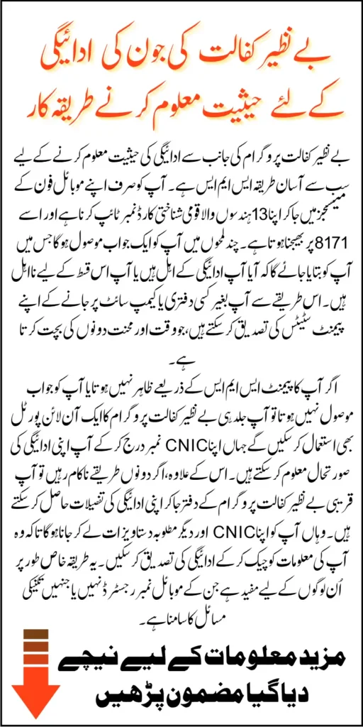 Benazir Kafalat June 2025 Payment Status Check Through Latest Method Know Details Step By Step